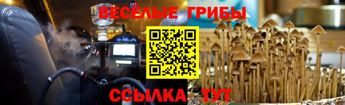 сколько стоит  Вход с VPN  Галлюциногенные грибы мицелий  Камень-на-Оби  Псилоцибиновые грибы ЛСД 
